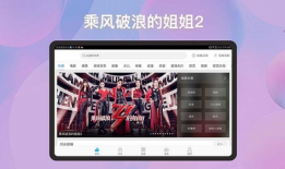 视频下载网,一键获取海量视频资源攻略