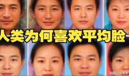 平均脸,探索人类面部特征的和谐统一